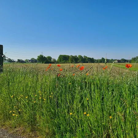 Tiny House In De Achterhoek Holiday home *