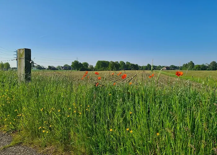Tiny House In De Achterhoek Holiday home *